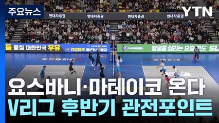 요스바니·마테이코 온다...V리그 후반기 관전포인트 / YTN