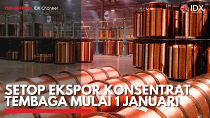 Setop Ekspor Konsentrat Tembaga Mulai 1 Januari