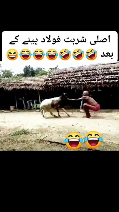 Funny Video