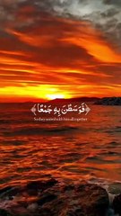 سورة العاديات #اكتب_شي_توجر_عليه #قرآن_بصوت_هادئ♡ #قرآن_بصوت_جميل🤍🎧 #راحه_نفسيه #قرآن_كريم #viral #fyp #fypシ #funny #CapCut