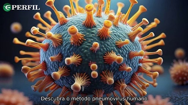 Surto de virose no litoral paulista, inovação logística e metapneumovírus na China: atualidades em destaque.