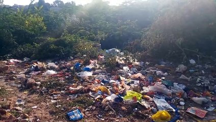 सफाई व्यवस्था की बिगड़ी तस्वीर, सरकार फिर से शुरू करे भर्ती तो मिले राहत