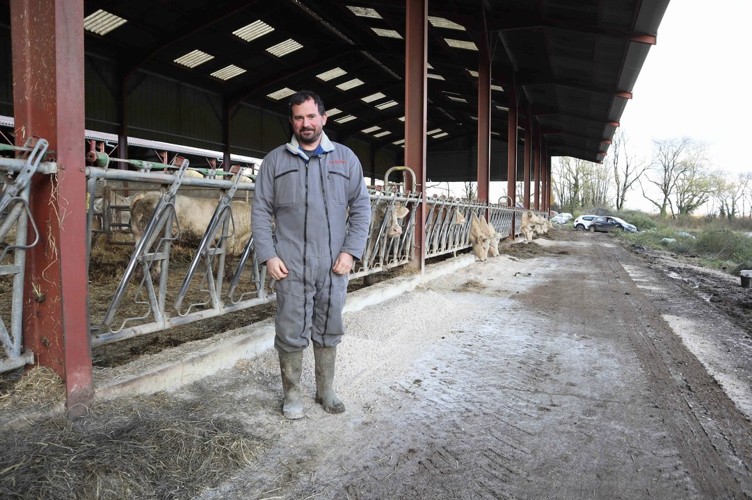 « J’engraisse mes jeunes bovins avec des coproduits secs »