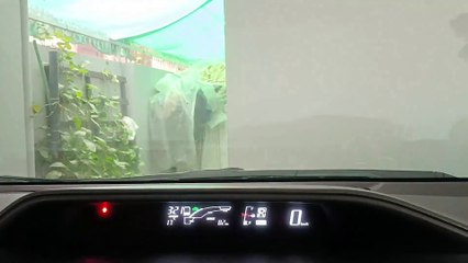 Boss ko Lenny ponch Geya 🧑‍✈️