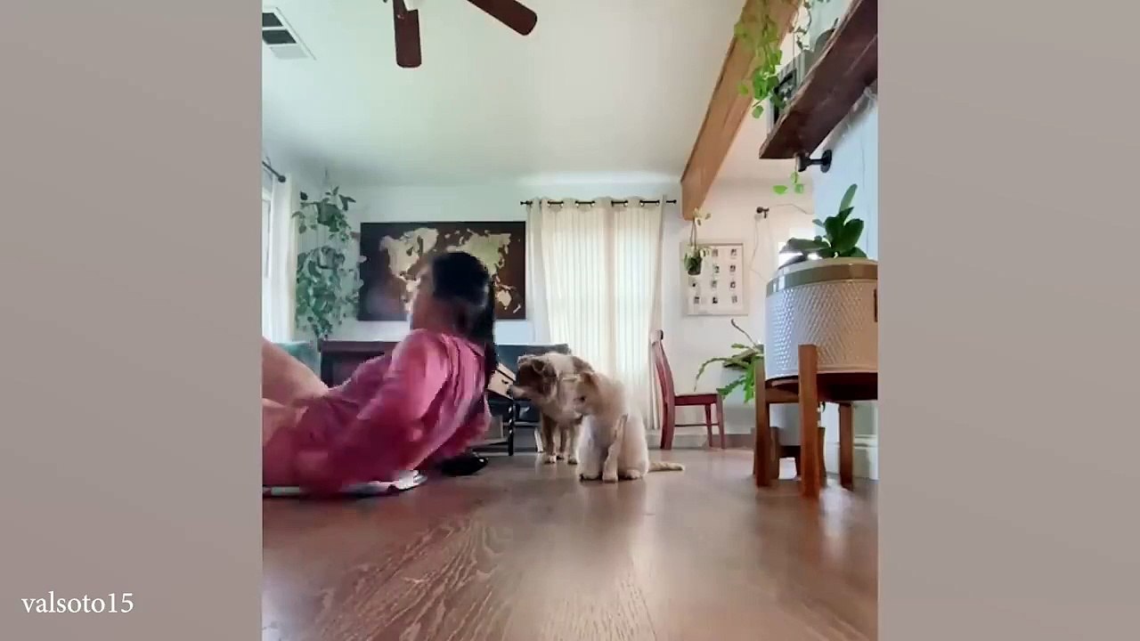 Funny world