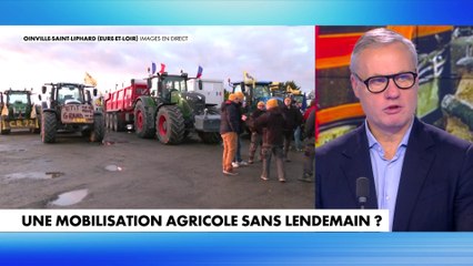 Jean-Sébastien Ferjou : «Le problème est strictement français en ce qui concerne l'agriculture»