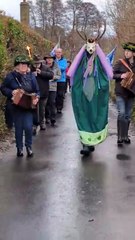 Allerford wassailing 2025 with the Great Green Stag filmed by Lisa Eden.