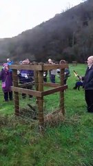 The 2025 wassailing ceremony in Allerford filmed by Lisa Eden.