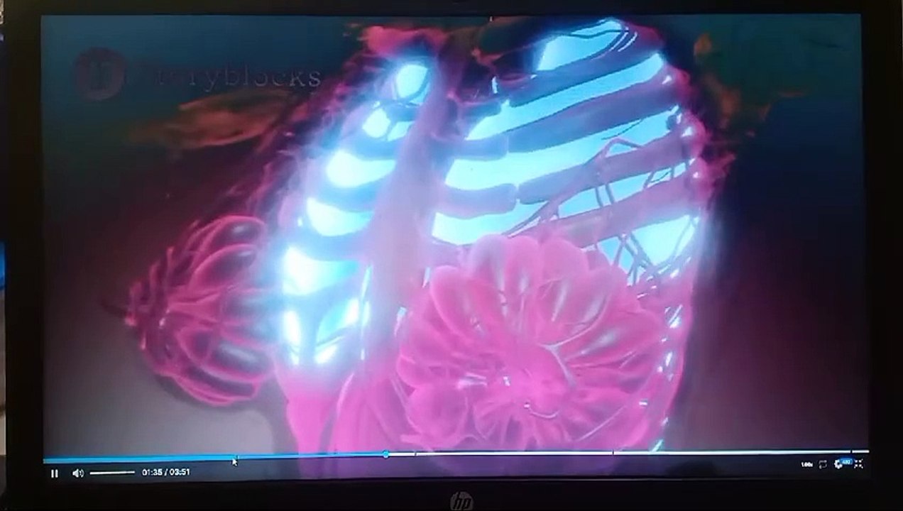 Respiratory System