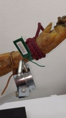 Jamón ibérico de cebo de campo