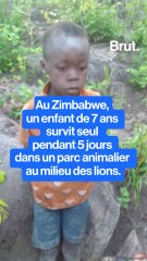 Zimbabwe : un enfant de huit ans survit 5 jours dans un parc avec des lions.