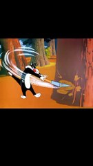 Cat and  Tweety funny cartoons best secne