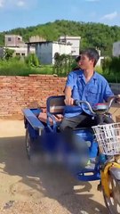 short-funny-video-comedy-short-video-shorts-viral-video