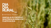 Mancha-alvo: controle e resistência da doença no plantio da soja