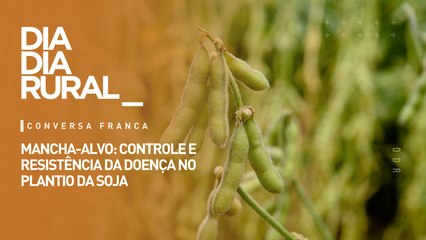 Mancha-alvo: controle e resistência da doença no plantio da soja