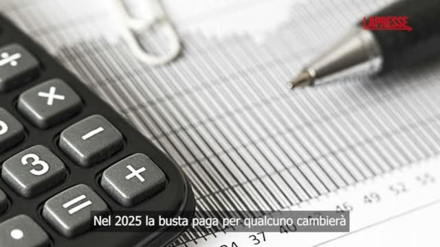 Irpef e nuovi tetti alle detrazioni, così cambia la busta paga - La videoscheda
