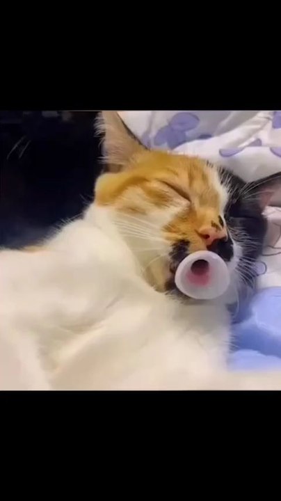 Voici ma nouvelle vidéo