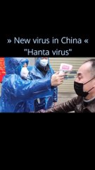 News Updates #new #virus #hantavirus #foryou