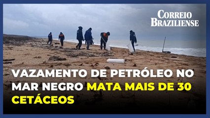 Mais de 30 cetáceos são encontrados mortos após vazamento de petróleo no Mar Negro