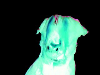 The Appointment (1982) - Bande annonce