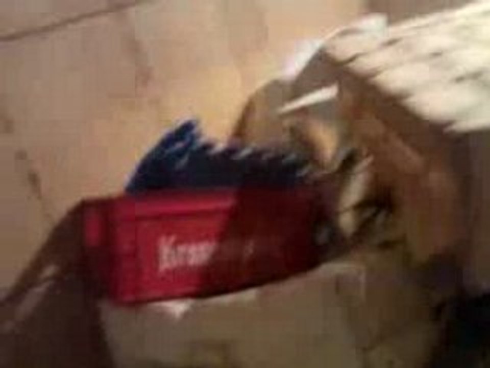 14032008049