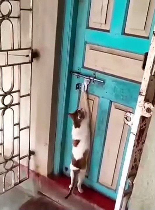 #fashion #beauty #style #makeup #glam #ootd #skincare #fashionista #hairstyle