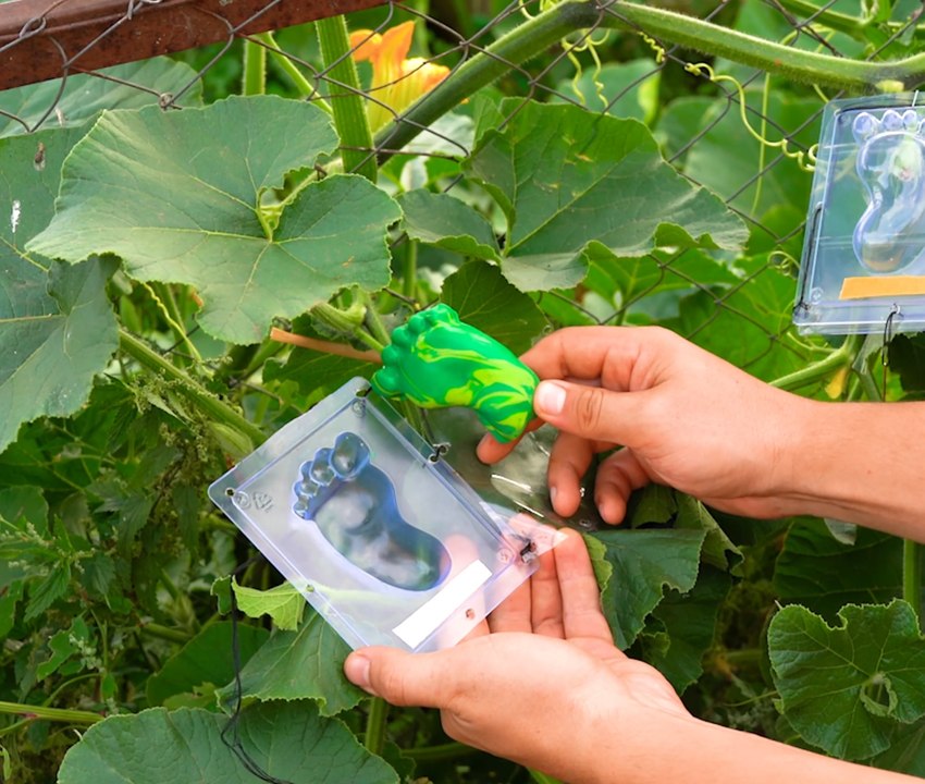 Des astuces de jardinage incontournables pour des plantes florissantes !