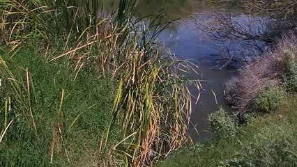 Grupo Carso podría realizar planta tratadora de agua en Cuatro Ciénegas