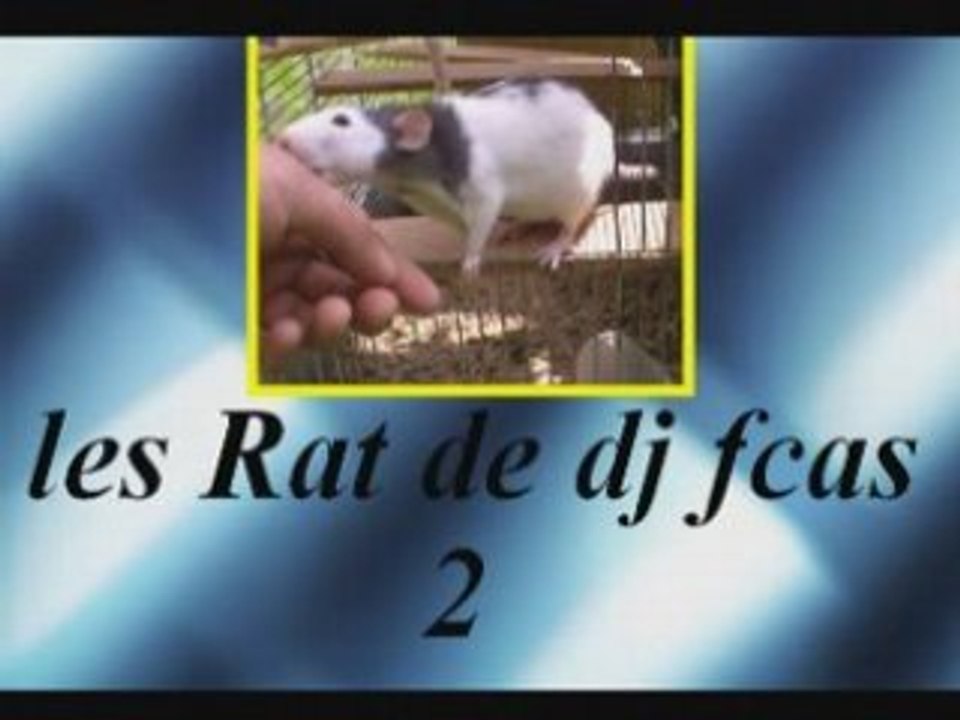 Les rat de dj fcas 2