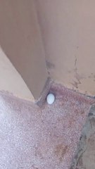 توقف سوف تتغير حياتك المالية بإدن الله عزوجل