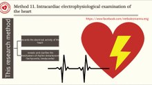 What is intracardiac electrophysiological examination of the heart