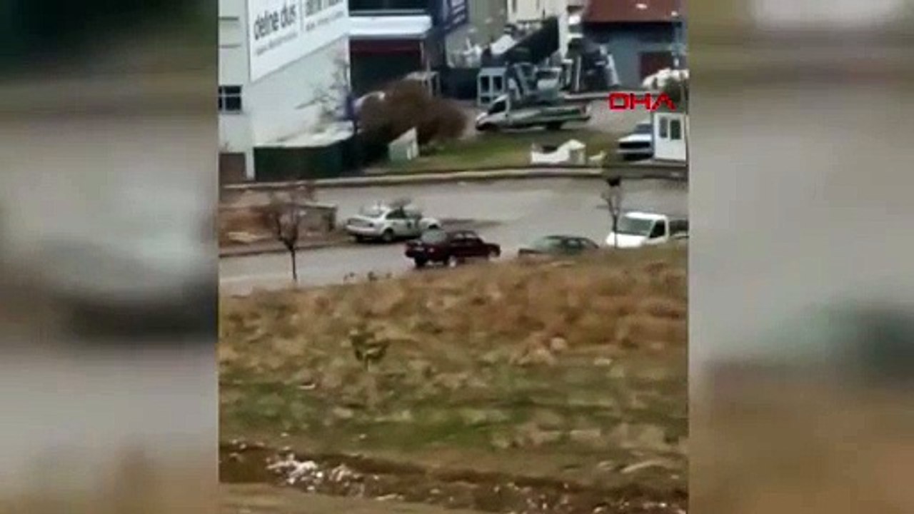 Ankara’da başıboş köpekler yoldan geçenlere saldırdı; o anlar kamerada