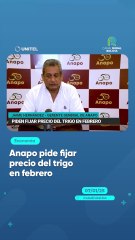 Anapo pide fijar precio del trigo en febrero