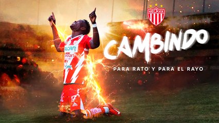 Necaxa confirma que Diber Cambindo continuará en el club