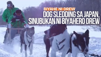 Dog sledding sa Japan, sinubukan ni Biyahero Drew | Biyahe ni Drew