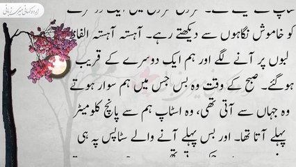 An Emotional Moral Story | Urdu Kahani Meri Zubani