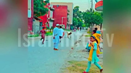 qurbani animals funny moments caught on camera