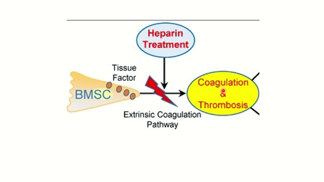 Recalls MRCS january 2023 MRCS (6-10)