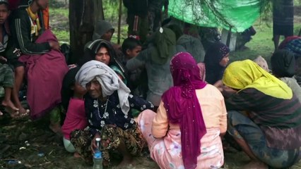 Over 200 Rohingya arrive in Indonesia over weekend, official says