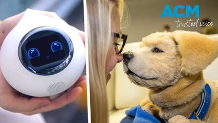 AI on display in Las Vegas during annual CES tech show