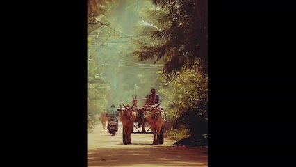 FREE Music for Your Videos# 100%virl your video