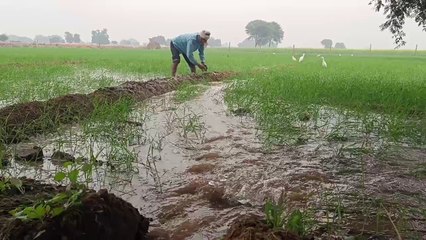 शीत लहर और कड़ाके की सर्दी ने बढ़ाई ठिठुरन, लोगों का जनजीवन बेहाल, रवि फसल में भी नुकसान
