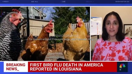 U.S. reports first human death from bird flu in Louisiana