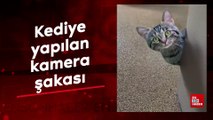 Kediye yapılan kamera şakası