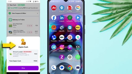 Zepto cash is temporarily unavailable 2025 | zepto wallet cash not working | Zepto Cash Unavailable