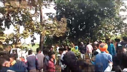 बुरहानपुर। हैदरपुर नेपानगर मार्ग पर हादसा, 7 स्कूली बच्चे घायल, ड्राइवर पर होंगी एफआईआर