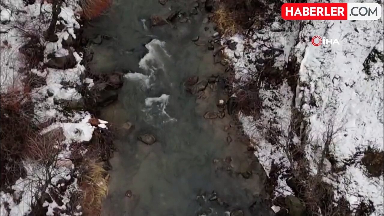 Tunceli'de Yaban Keçileri Çiftleşme Mevsiminde...
