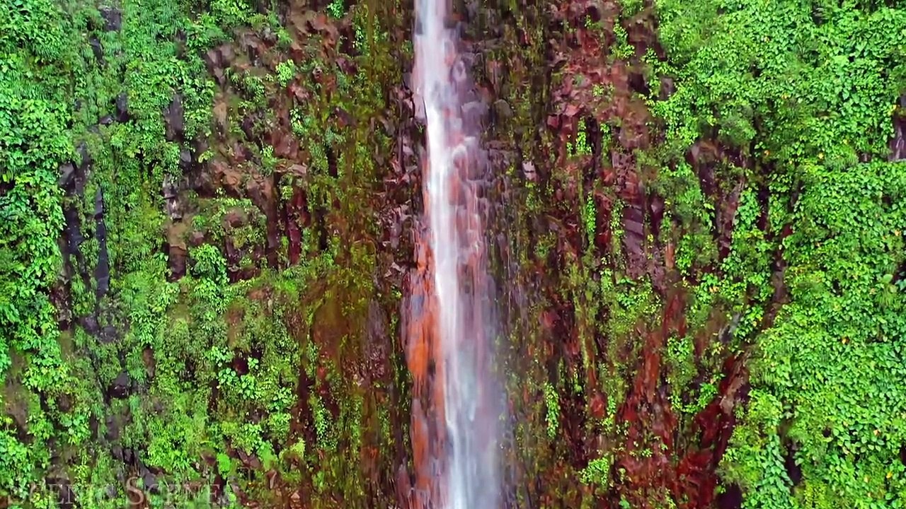 World's Most Serene ISLANDS for Ultimate Relaxation 🌴🌊 ｜ 4K Scenic Relaxation Film