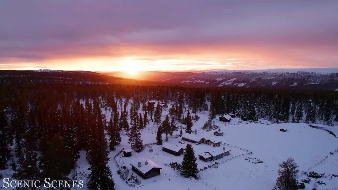 Winter Forest 4K - Beautiful Winter Wonderland with Peaceful Relaxing Music