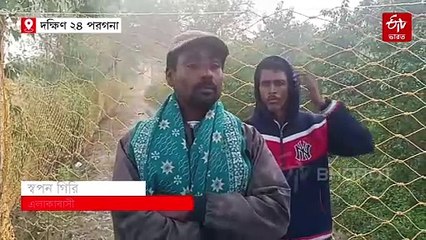 বাঘের আতঙ্কে দ্বিতীয় দিন বনদপ্তরের কর্মীদের সঙ্গে লুকোচুরি আতঙ্কিত এলাকাবাসীরা